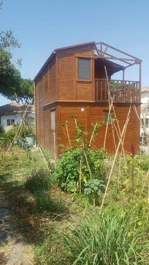 Casa De Madera De Sancti Petri Villa Chiclana de la Frontera Luaran gambar